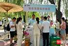 图｜“邮”寄夏语“荷”韵传芳！荷园主题邮局浪漫上线