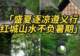 遵义3天2晚避暑攻略！23℃的夏天藏不住了