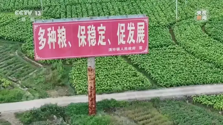央视曝光:湖南江华县、镇、村三级应付检查,赤裸裸造假