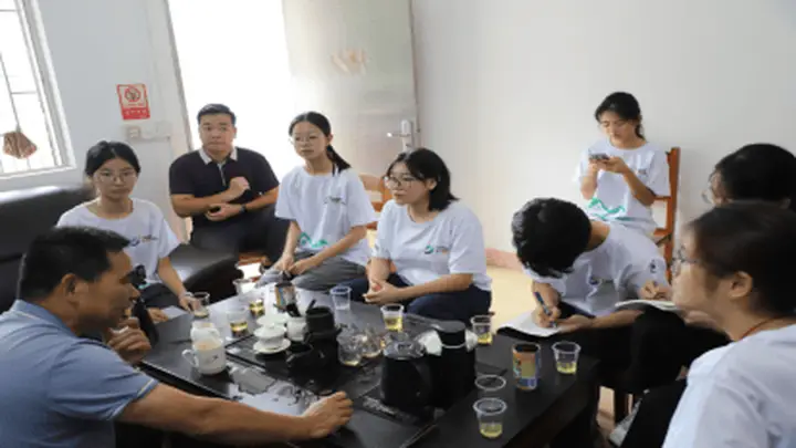 深山好茶如何走出山?岭南师院学子调研江林茶 为非遗茶品牌振兴献青春智慧