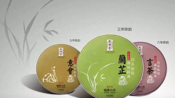 绿雪芽与福鼎白茶：同源共脉的品鉴之道