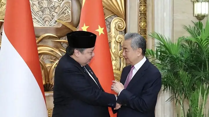 镍矿风波未平息,印尼呼吁中企投资,王毅当面提醒:搞好营商环境