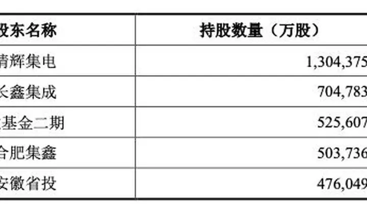 谁在重仓中国DRAM龙头?长鑫科技招股书揭晓“最强”股东阵容