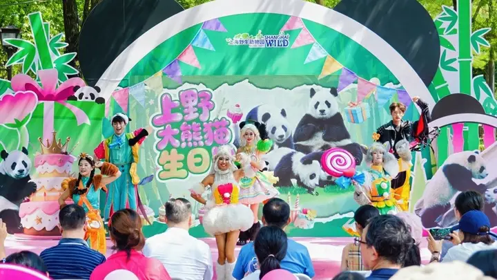 上海野生动物园暑期双引擎发力,“奇趣探秘”试运营与大熊猫生日月同频共振