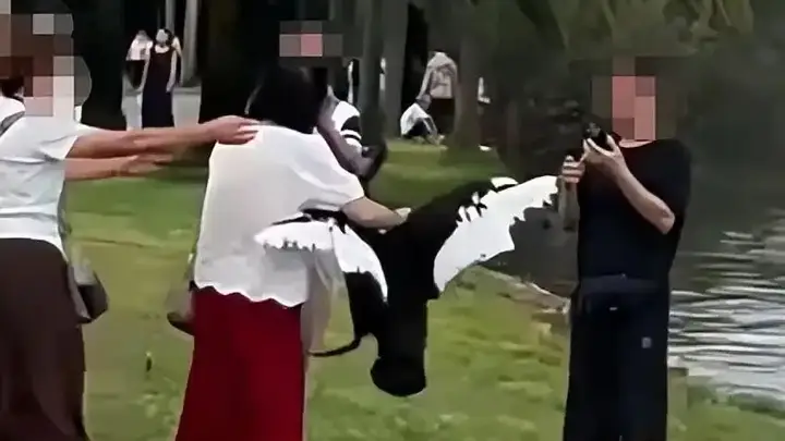 女子在云南弥勒湖边抓起黑天鹅脖子摆拍,现场无人劝阻,景区:安保人员赶到时涉事游客已离开,如天鹅受伤会报警;文旅局:相关情况正梳理