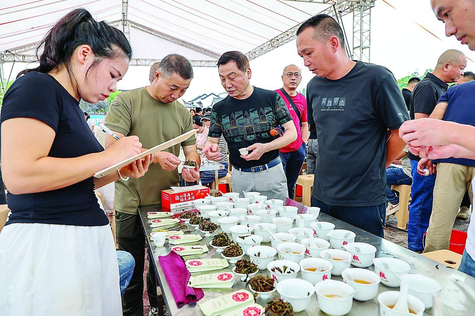 武夷山：卸掉“炭火妆” 好茶“素颜”见人