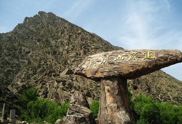 探秘太阳神岩画、偶遇贺兰山岩羊——在苍茫群山间感受万年文明回响