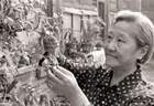 清朝最后的格格，教书50年：家族是历史的罪人，很荣幸能服务人民