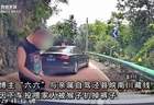 游客自驾安徽皖南川藏线遇猴群，下车投喂小猴时被护崽心切的大猴扒掉其裤子，当地文旅局回应