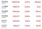 创业板指及科创综指半日涨超3% 寒武纪总市值突破万亿元大关