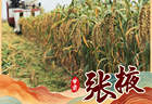 (图表·海报)中国之城丨甘肃张掖:“蜂腰之地”山河万象