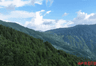 “凉资源”变“热产业”——洪江市雪峰山炼成“避暑首选地”