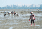 儋州新英湾：欢乐赶海游