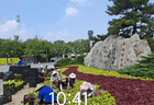市公园城市服务中心聚力提升齐盛湖公园游园品质
