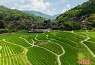 8月7日贵州肇兴侗寨景致引客来