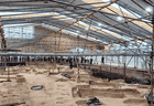 一城风华绘盛景 ——“2026南阳市文化旅游发展大会”观摩侧记