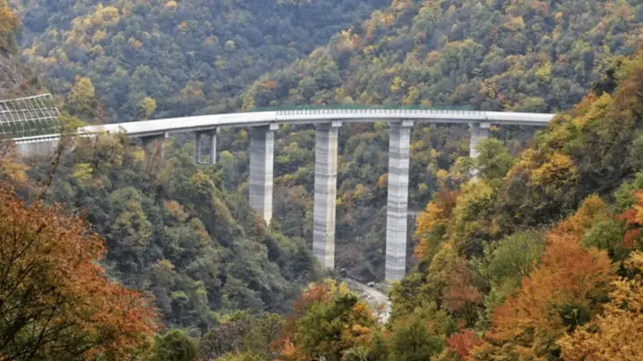 2026全国避暑TOP10留坝正式启幕 高山草甸凉爽体验等你来