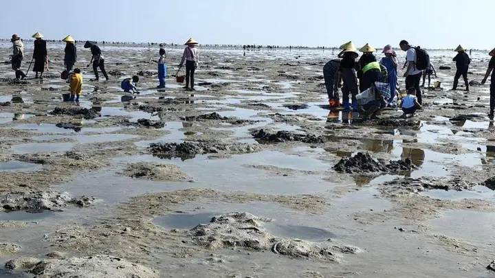 合浦沙岗镇赶海地点,合浦沙岗镇赶海时间表,合浦沙岗镇赶海潮汐表怎么查