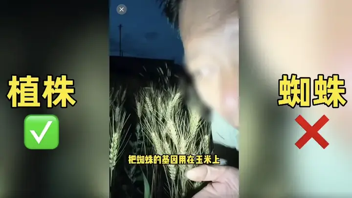 农业网红诋毁袁隆平成果,不能只封号就完事