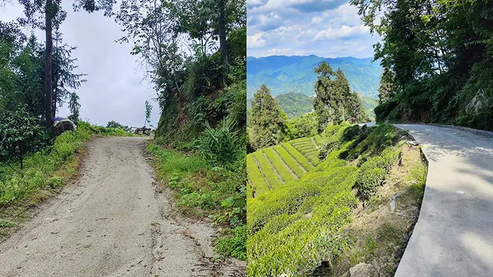 茶香深处是回甘