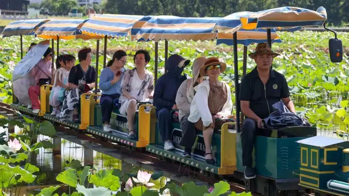 福建武夷山:五夫荷韵 盛夏逐芳