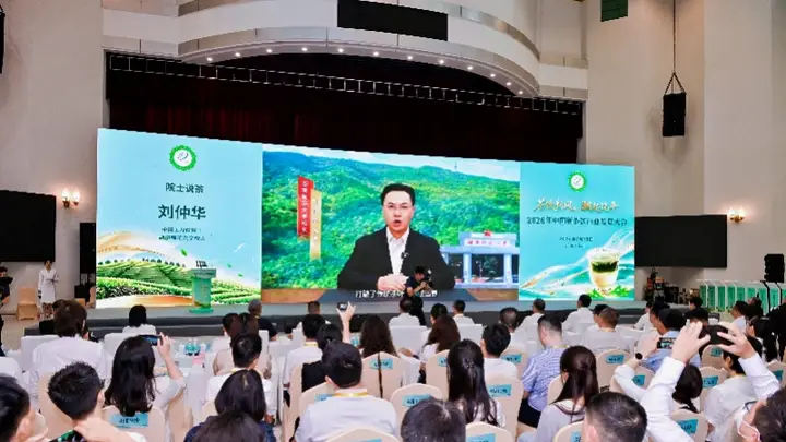 新茶饮市场规模将破3700亿,潮州饶平单丛产业引来新机遇
