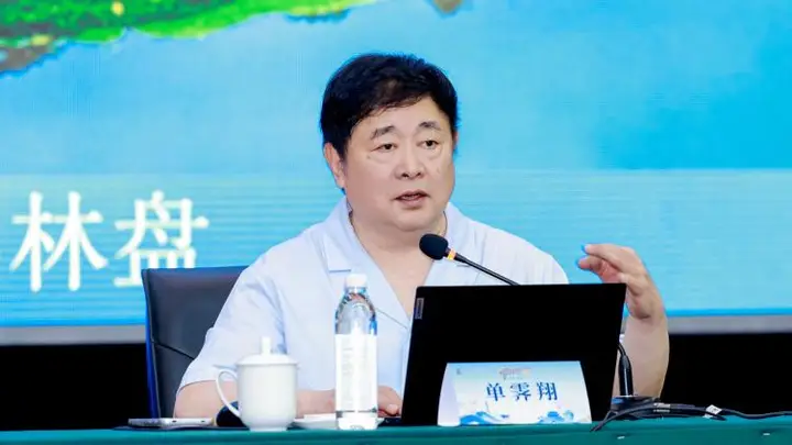 单霁翔在临邛解码千年文脉 文化遗产活化利用成焦点