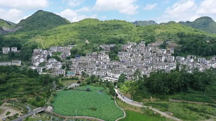 龙宫镇桃子村荷风桃苑民宿集群7月启幕 21℃清凉旅居可享600人接待能力