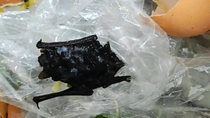肉片里吃出蝙蝠？当事人称儿子“哇哇吐”已就医，福建宁德当地市监已介入调查