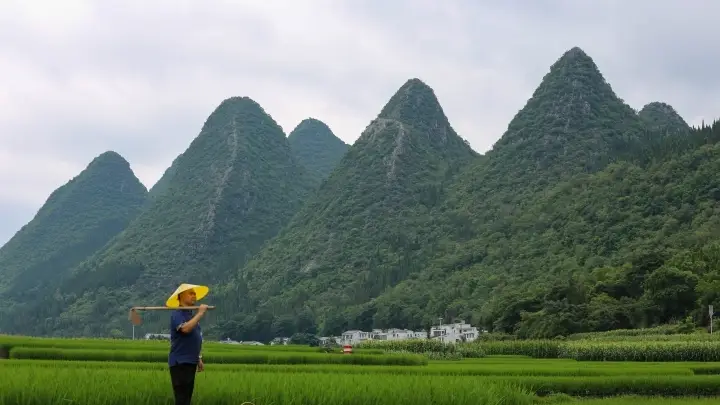 贵州万峰林酸汤蛋炒饭 布依乡土美食体验启幕