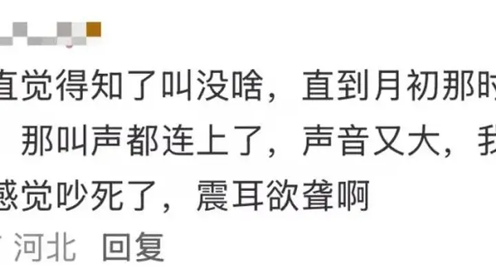 多人因蝉鸣听力受损,医生紧急提醒