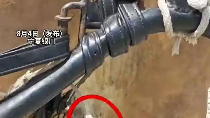 游客量激增,马匹大腿被磨得皮开肉绽,仍在拉车!宁夏银川西夏陵景区致歉:深感愧疚与自责
