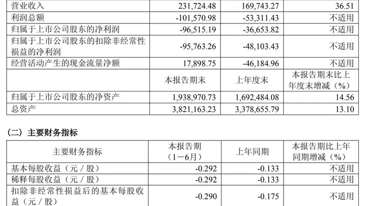 硅片龙头,上半年净亏损9.65亿元!年内股价上涨逾两成