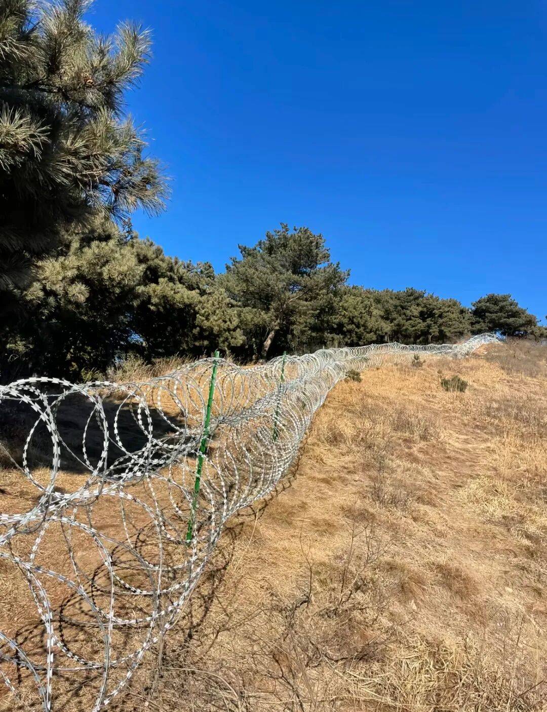 热搜第一！泰山建“刀片隔离网”引争议