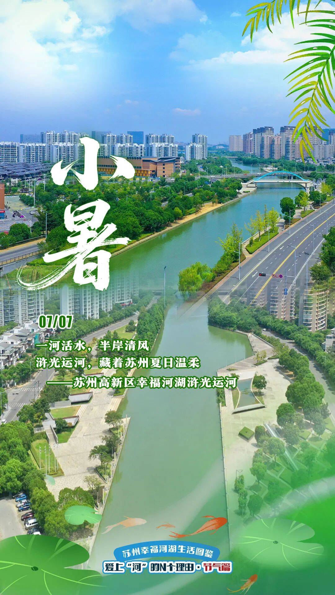 爱上“河”的N个理由｜漫步浒光清水岸，恰逢小暑揽清欢