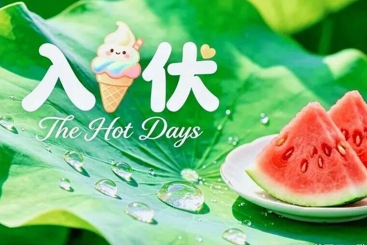 明日入伏，三伏天清淡祛湿一日三餐食谱，舒舒服服过夏天！