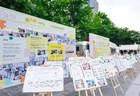 一块白板、一只流浪猫、一个慢课堂,上海这个“小事公园”不简单!