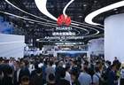 华为助力全球运营商迈向Token经营新征程