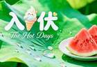 明日入伏，三伏天清淡祛湿一日三餐食谱，舒舒服服过夏天！