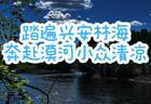 7-8 月漠河避暑旅行，奔赴中国最北，寻一处 20℃清凉秘境+FAQ