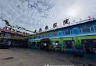 张家口张北草原天路东线野狐岭花花农家院观景房出门是大草原!