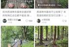 为商拍，西湖网红打卡点被封禁？景区最新回应