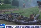 暑期到来,上海野生动物园延长营业时间至晚上九点