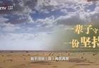 时政微视频｜无我