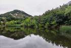 恢复游览！雨后小珠山“小飞瀑“惊艳登场！