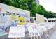 一块白板、一只流浪猫、一个慢课堂,上海这个“小事公园”不简单!