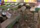 美军被曝搁置伊朗小学遇袭事件调查