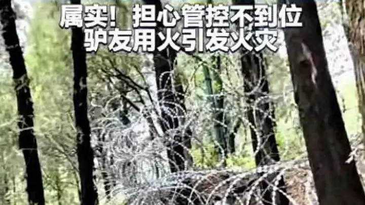 泰山2500万刺网拆除后，大家仍在追问：这笔公共开销，到底谁来买单
