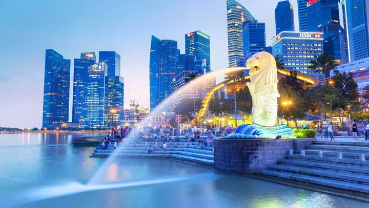 同一座狮城,两种雨季:商务考察团的文化交流体验为何天差地别?