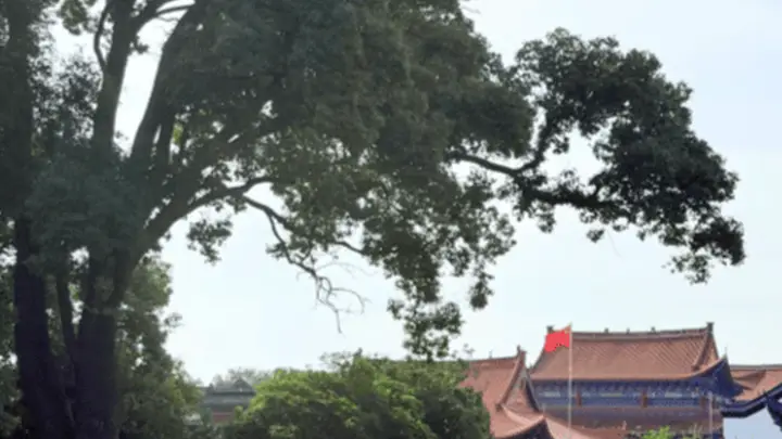 枝江郊野闲逛,江湾沿线体验江畔闲情